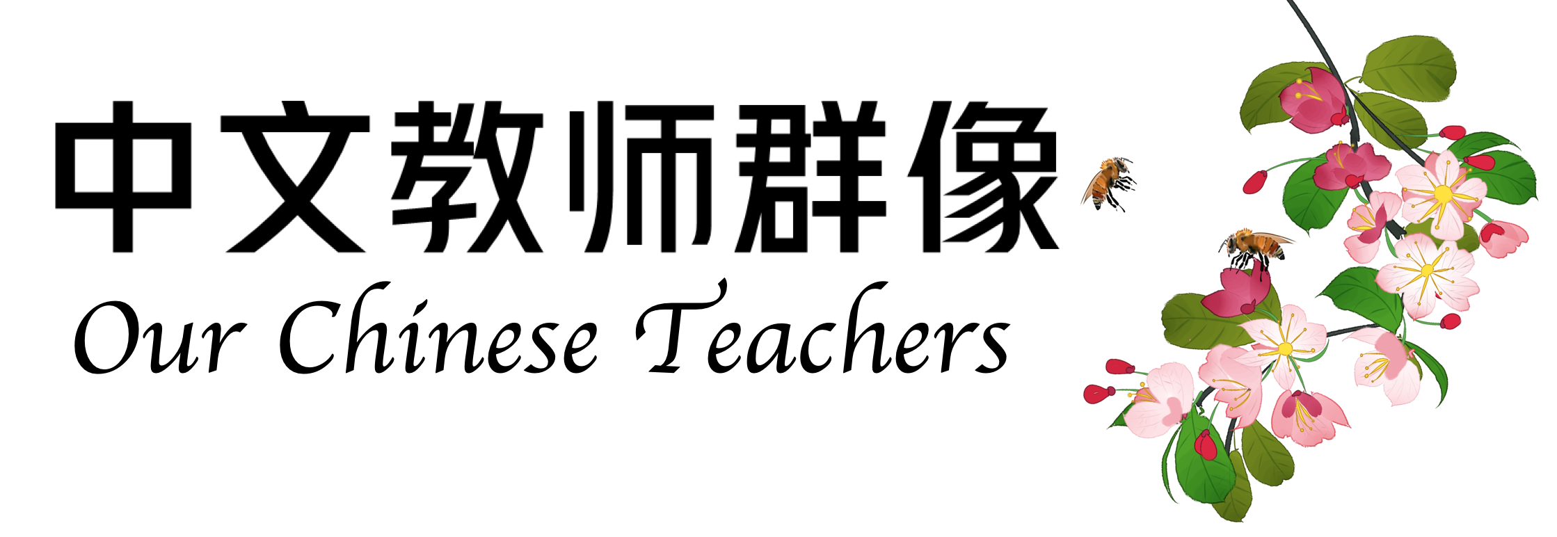 Our Chinese Teachers.png