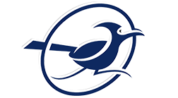 roadrunner logo blue and white