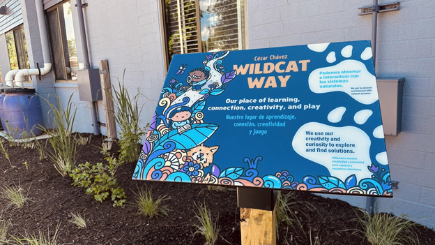 wildcat way