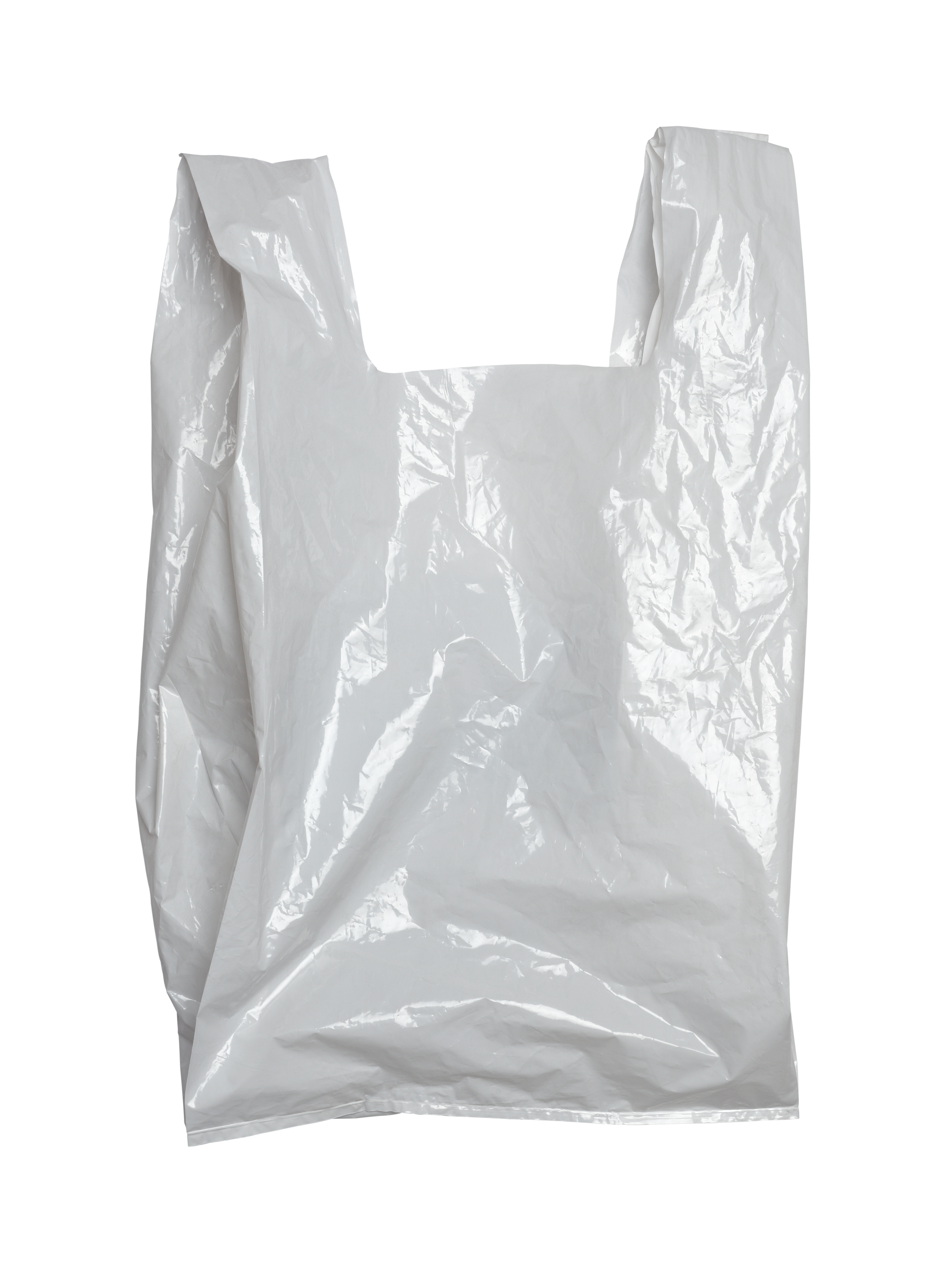 grocery bag2.jpg
