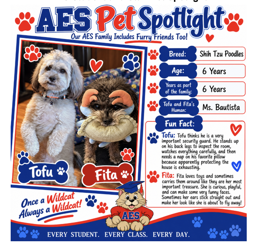 Pet Spotlight (5)