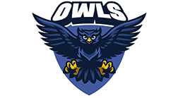 Doswell-E-Brooks-Elementary-logo