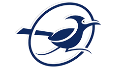 roadrunner logo blue and white