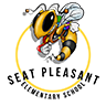 logo-banner-Seat-Pleasant-hornet