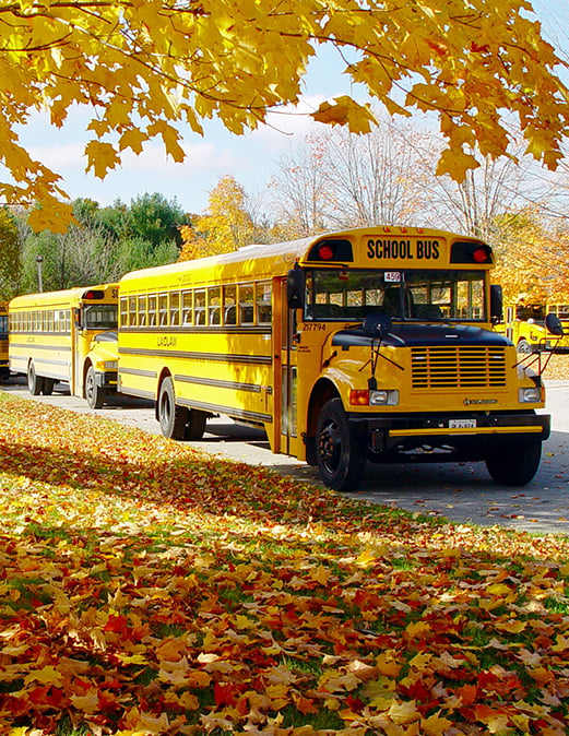 F-bus-autumn-leaves.jpg