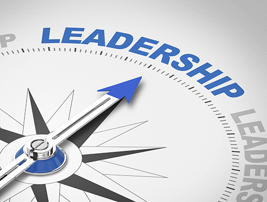 S-leadership-compass-blue-grey.jpg